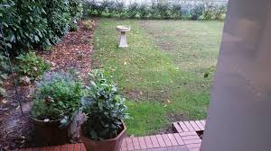 It means you won't have pools of water that cause grass to rot or make your grass vulnerable to diseases, and everyday yard maintenance like mowing your lawn is. Levelling Large Dips In A Lawn Overclockers Uk Forums