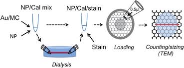 Sometimes though, scientists in their quest for knowledge end up conducting experiments that are not only unethical but equally disturbing. Nanoparticle Suspensions Enclosed In Methylcellulose A New Approach For Quantifying Nanoparticles In Transmission Electron Microscopy Scientific Reports