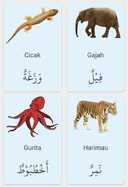 Para pakar bahasa arab menyebutkan diperkirakan ada sekitar 25 juta kosakata dalam bahasa arab. Haiwan Dalam Bahasa Arab Nota Bahasa Arab Facebook