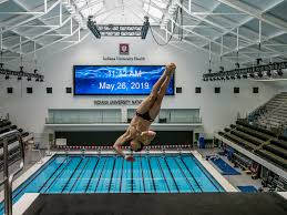 Lee Michaud Named President of USA Diving