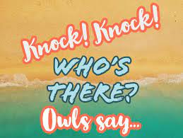 I was asked to inform funny knock knock jokes at one of my daughter's playdates. 49 Funny Knock Knock Jokes For Kids Familyminded