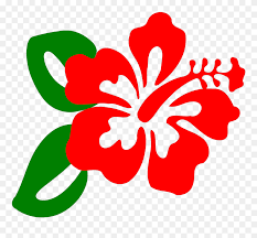 Check spelling or type a new query. Hibiscus Clipart Clip Art Clip Art Hibiscus Flower Png Download 48273 Pinclipart