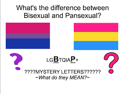 May 25, 2021 · while some people might use bi to mean they only like girls and boys, that isn't a universal definition. Pansexual Pride