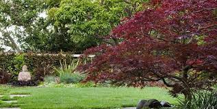 Japanese garden design guide hi and welcome back to garden ninja today i've brought myself down to london to the kyoto gardens which is a great example of traditional japanese garden what i'm going to do today is to. Japanese Landscape Design Ideas Landscaping Network