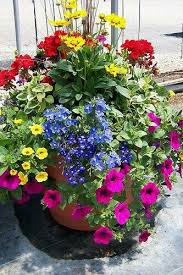 Beauty Container Gardening Flowers Container Flowers Container Gardening