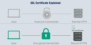 What is an SSL Certificate: A Beginner's Guide