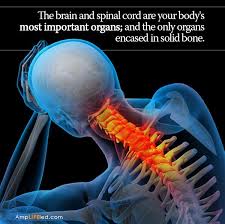 Amplifeied Chiropractic Care Chiropractic Therapy Chiropractors