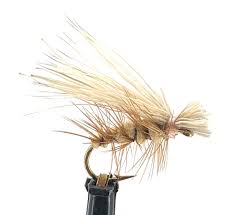 Maybe you would like to learn more about one of these? Fly Fishing Assortment Elk Hair Caddis Dry Flies Feeder Creek