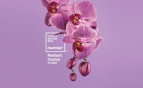 graphics radiant orchid pantone color of the year 2014