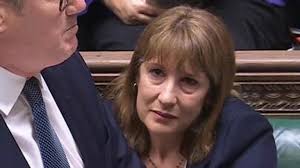 World Bee Day: Are bees bad?