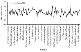 Image result for Deinbollia sp. A