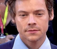 — Curious Gazes: The 79th Venice International Film...