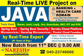 Attend Real Time Project On Java With Banking And Health Care Domain By Real Time Expert From 11th Dec 9 00 Am Register Health Care Real Time Cloud Platform