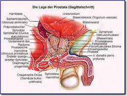 Reviews common tests for these conditions, as well as treatment side effects. Prostata Urologische Praxis Puttlingen