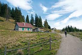 Maybe you would like to learn more about one of these? Wandern Uber Den Almsteig Zur Pollereshutte Bergwelten