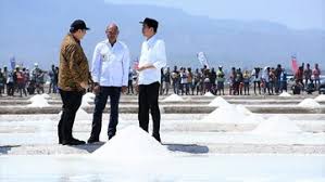 Looking for online definition of ntt or what ntt stands for? Dibanding Australia Jokowi Klaim Garam Ntt Lebih Bagus