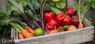 Maybe you would like to learn more about one of these? 10 Ways To Boost Yields In Your Vegetable Garden