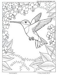 Our coloring categories include serious science: Colouring Pages Nature Coloring Home