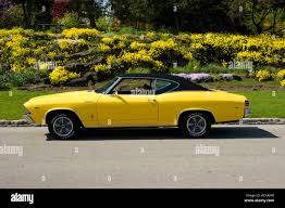 Image result for Stardust Yellow 1960 Pontiac