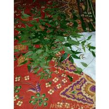 Check spelling or type a new query. Pantang Larang Dan Petua Oh Wanita By Suzyhoneyherbs Facebook