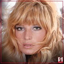 Se n'era andata da anni, ma non aveva ancora avuto voglia o bisogno di  farcelo sapere. Oggi lo ha reso ufficiale al mondo. Monica Vitti è stata  per distacco una delle più