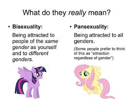Being pansexual basically means to me that you are attracted to anyone, no matter their sex, sexual orientation, gender, gender identity, everything. Shoutout To Our Lgbtq Role Models Pansexual People Shoutout
