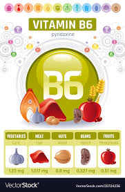 Pyridoxine Vitamin B6 Rich Food Icons Healthy