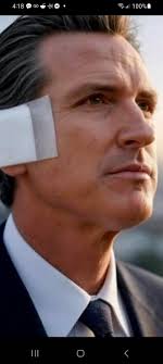 Discovery of picnic table 29 in Los Angeles