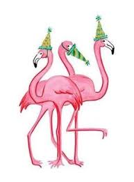 Pin By Ann Waterloo On Flamingo Pink Flamingo Party Flamingo Birthday Flamingo