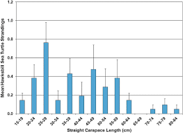 Between 200 and 1,100 green sea turtles nest on beaches in the continental u.s. Sea Turtles Of The Gulf Of Mexico Springerlink