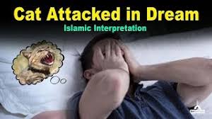 The cat is eating a snake in dream: Cat Attacked In Dream Islamic Interpretation Youtube