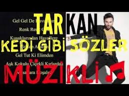 Tarkan Kedi Gibi Sozleri 3gp Mp4 Mp3 Flv Indir