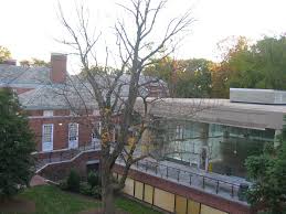 Maryland Venues Baltimore Catering Washington Dc Caterer Weddings Corporate Events Galas Picnics Zeffert And Gold Catering And Event Planning The glass pavilion is a redefining structure within modernism.