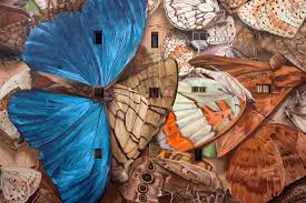 Check spelling or type a new query. Mantra S Trompe L Oeil Murals Transform Buildings Into Larger Than Life Butterfly Display Cases
