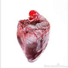 Find & download the most popular real heart vectors on freepik free for commercial use high quality images made for.real heart vectors. Real Heart
