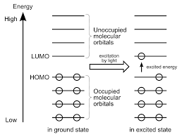 Keeping shedding under control, and maintaining the luster of a pet's coat is hard work and time . Homo And Lumo Wikipedia
