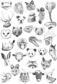By Giovanni Robertini Art Drawings Art Animal Art