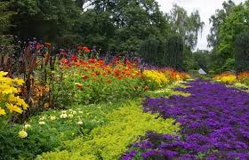 Pilze Im Herbst Zu Bewundern Bild Von Bunter Garten Monchengladbach Tripadvisor