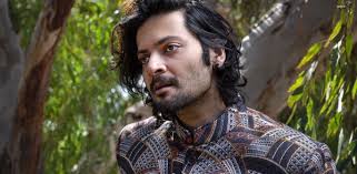 Ali Fazal says 'Indian Cinema is Not all Bollywood'