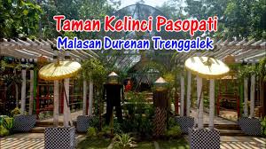 Taman kelinci pasir empul malingping. Pesona Damar Kanginan Taman Kelinci Pasopati Spot Wisata Baru Di Trenggalek Youtube