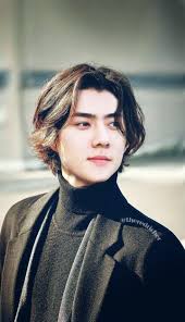 This is my first exo thing so i hope you all like it a lot!! 17 Exo With Long Hair Ideas In 2021 ÙÙ† Ø¹ØµØ± Ø§Ù„Ù†Ù‡Ø¶Ø© Ø±Ø³Ù… ØµÙˆØ±Ø©