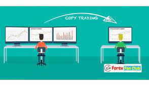 What Is Copy Trading Top 4 Best Copy Trading Platforms 2021 Forexfanclub