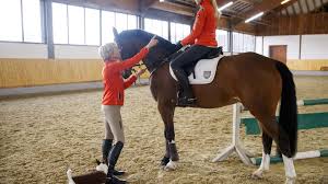 The annual publication of the students of catholic central high school, lethbridge, alberta. Djm Vielseitigkeit In Kreuth Eine Echte Familienangelegenheit Sport News Reiterrevue International