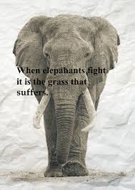 Kikuyu Proverb Life Inspiration Out Of Africa Animals Wild