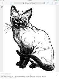 Black And White Siamese Cat Pin By Judy Stephenson On Cats Cat Coloring Page Cat Posters Black And White Artwork