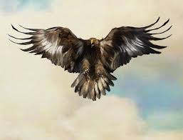 Bird With Wings Spread Out 404 Not Found Eagle Bird Of Prey Tattoo Eagle Painting