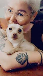 Lost french bulldog near Colorado Creek Apartments