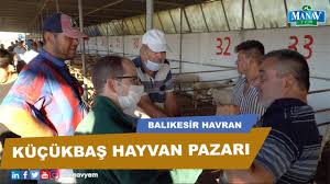 Balikesir Havran Hayvan Pazari Kucukbas Hayvan Pazari Youtube