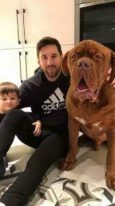 Maybe you would like to learn more about one of these? Pin Von Los T Auf Lionel Messi Lionel Messi Tiere Hund Messi Fussball