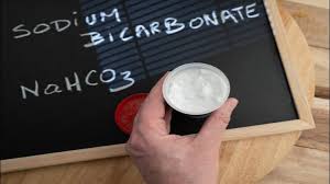 هل النشادر هو بيكربونات الصوديوم مسبار